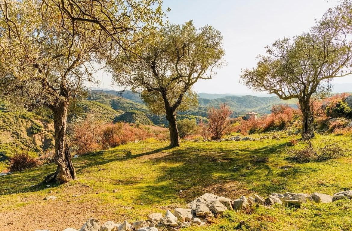 Albania: A Balkan Pearl